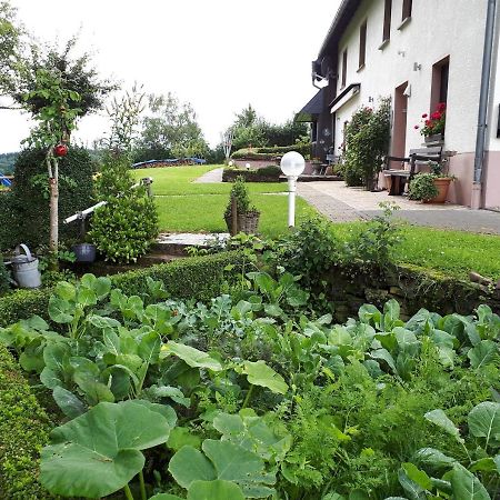Ferienwohnung Huegelhaus Plütscheid Dış mekan fotoğraf