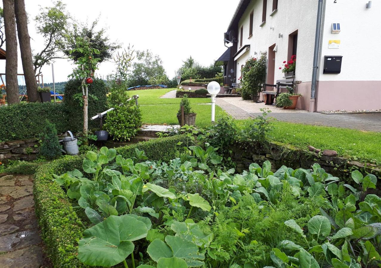 Ferienwohnung Huegelhaus Plütscheid Dış mekan fotoğraf